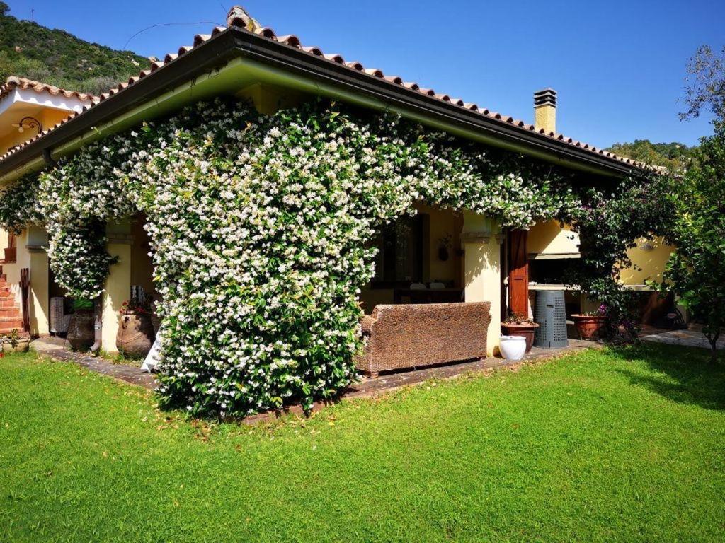 Villa Emilietta 维拉西米乌斯 外观 照片