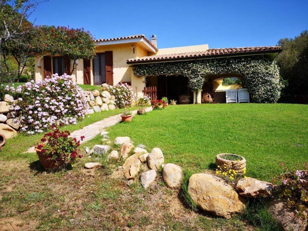 Villa Emilietta 维拉西米乌斯 外观 照片